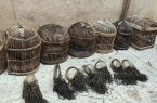 برخورد قاطع با شکار غیرمجاز ادامه دارد