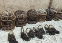 برخورد قاطع با شکار غیرمجاز ادامه دارد