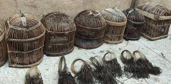 برخورد قاطع با شکار غیرمجاز ادامه دارد